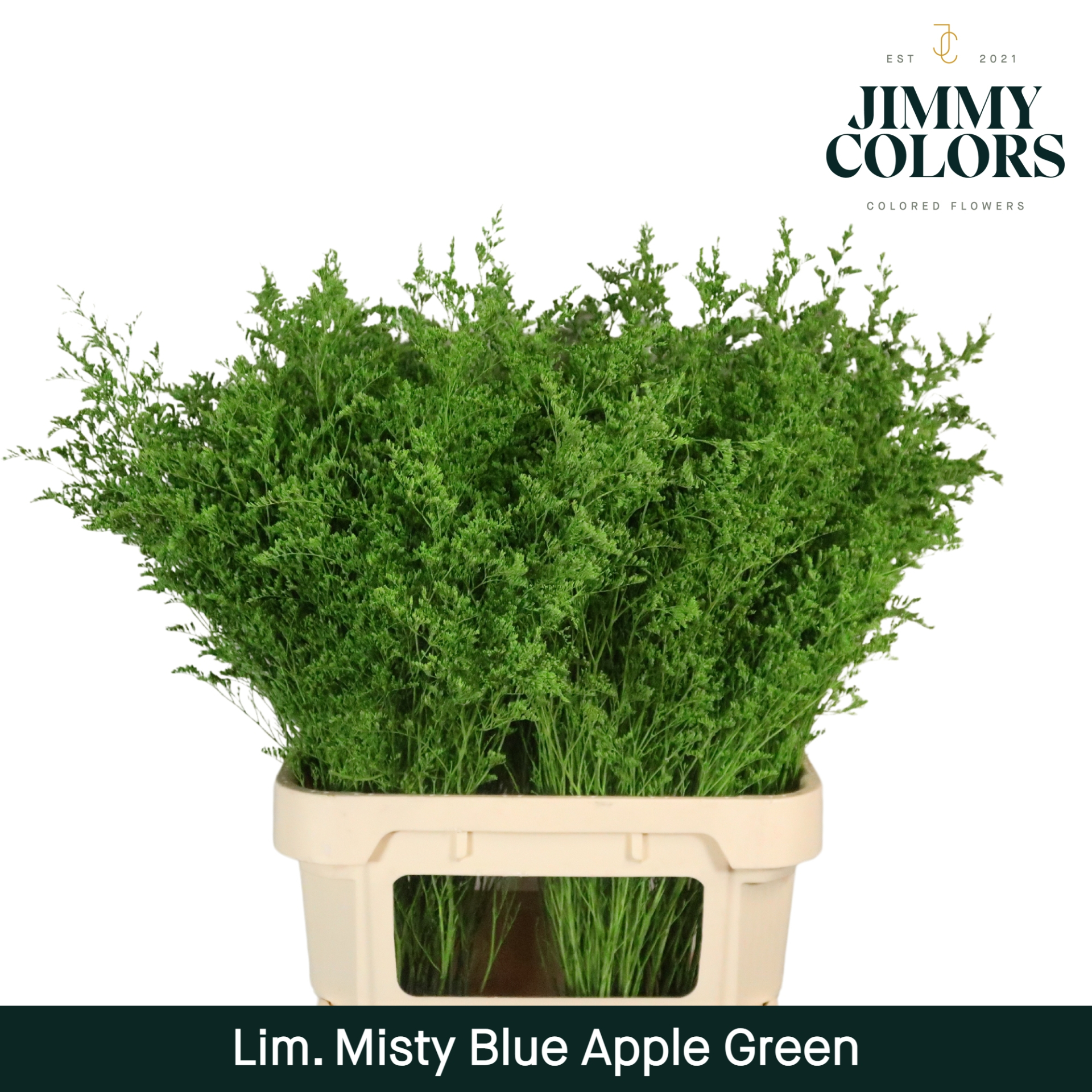 Lim Misty Blue L90 Apple Green