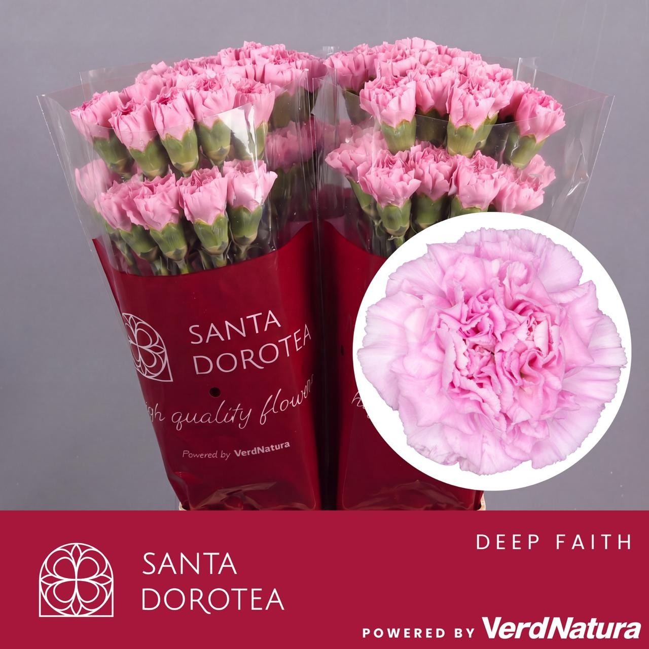 Di St Faith