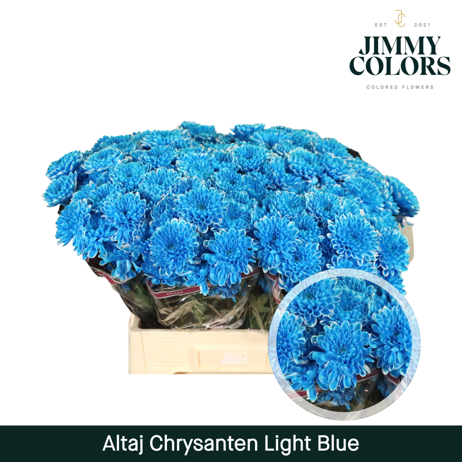 Chr T Altaj Light Blue