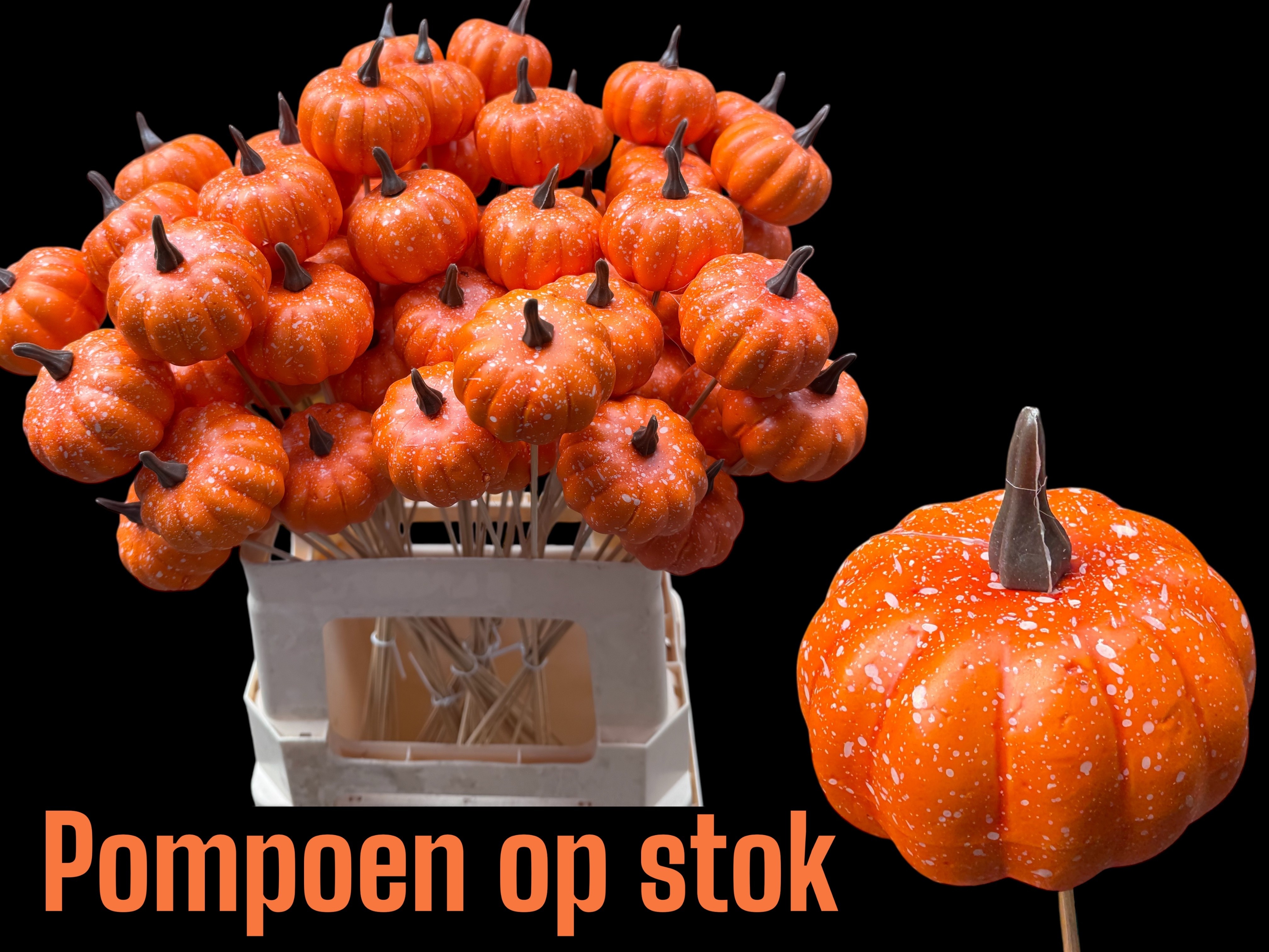 Huis En Tuindeco H%