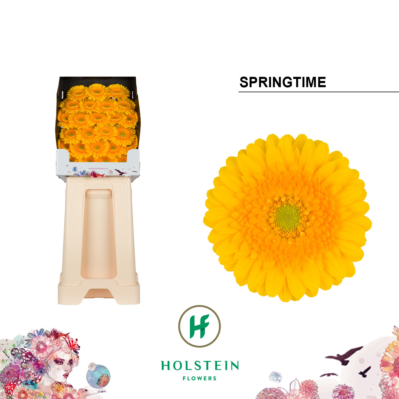 Ge Mi Springtime