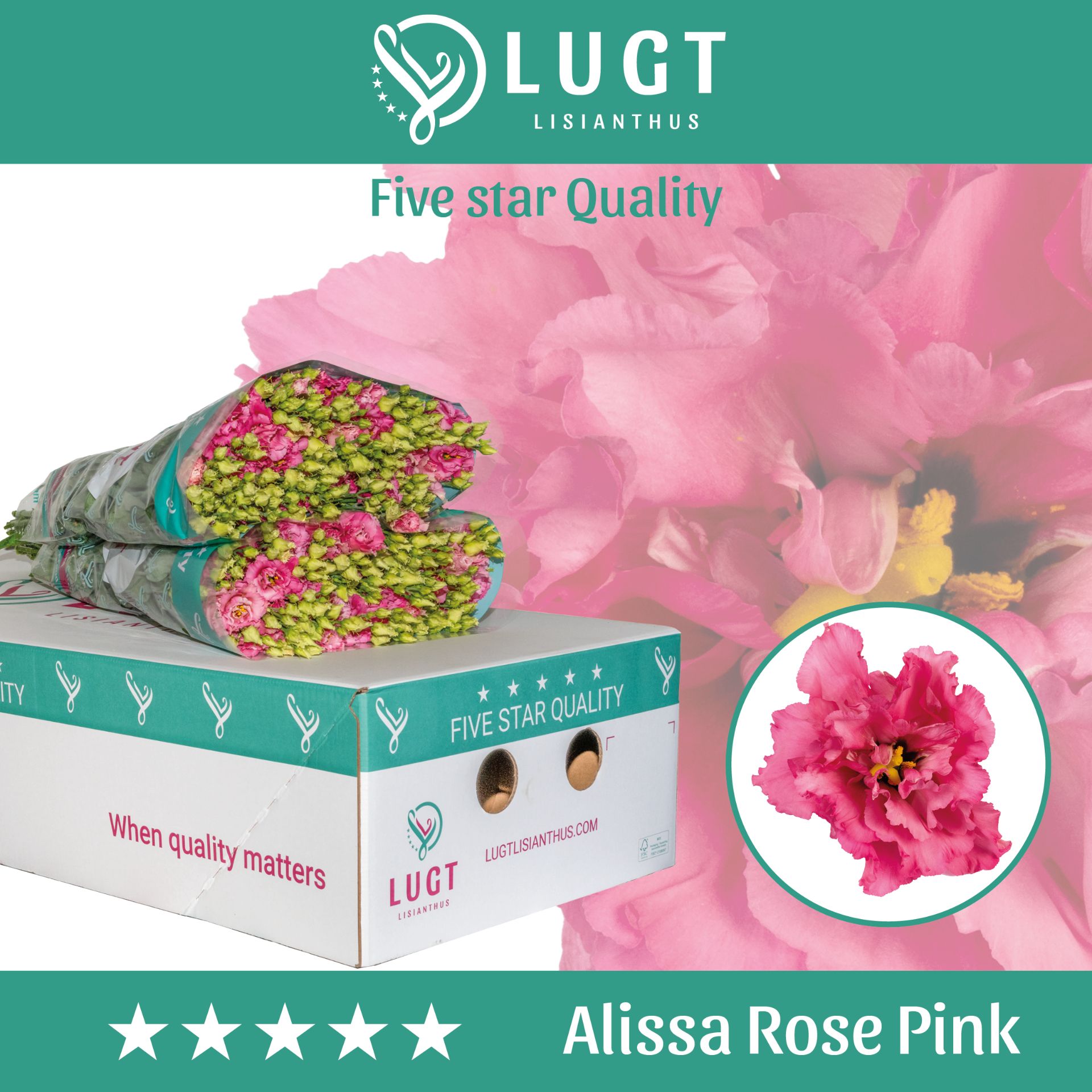 Eus G Alissa Rose Pi