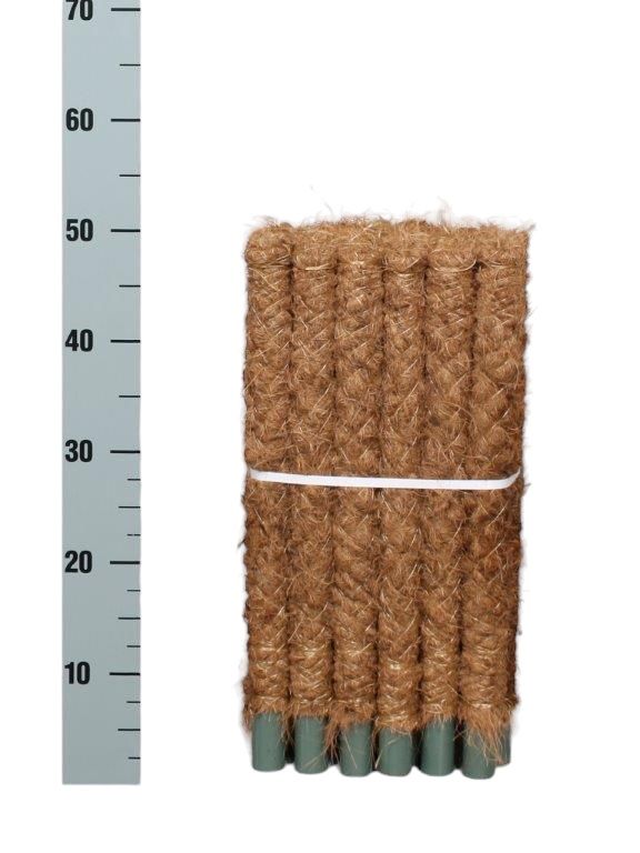 Mosstok Los 50cm 30 Per Bundel