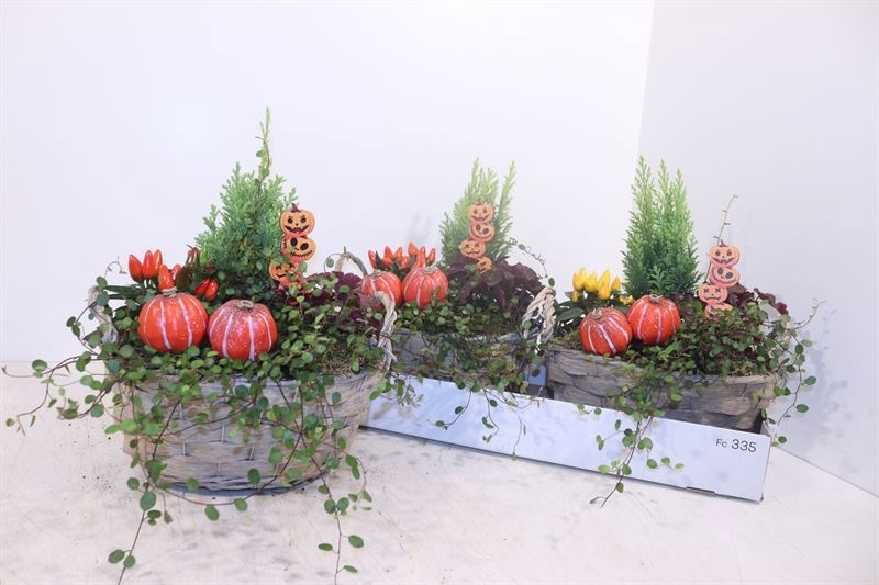 Arr Tuinplanten 25P 32cm