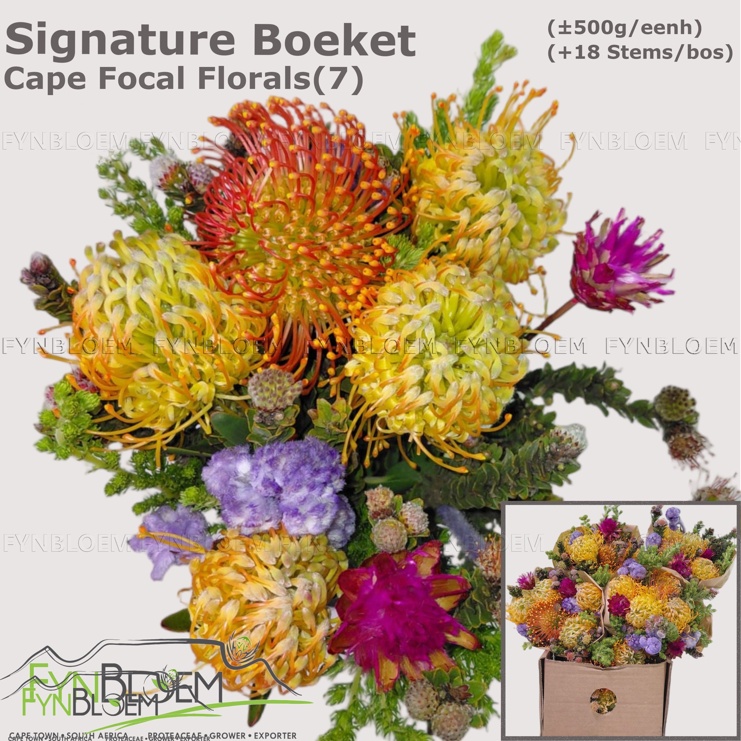 Protea Bouquet Per Bunch 40cm