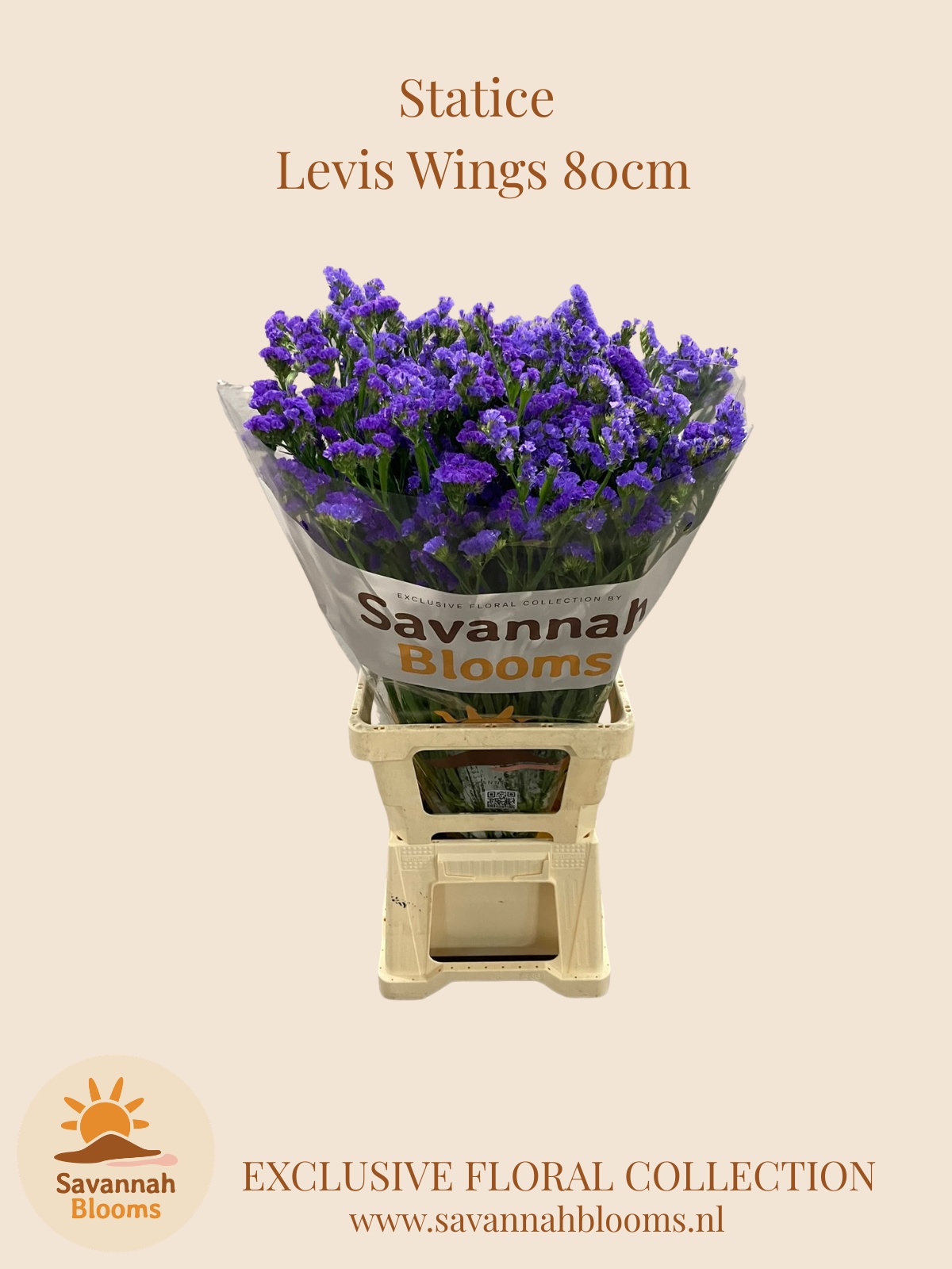 Lim S Levis Wings 80cm 60gram