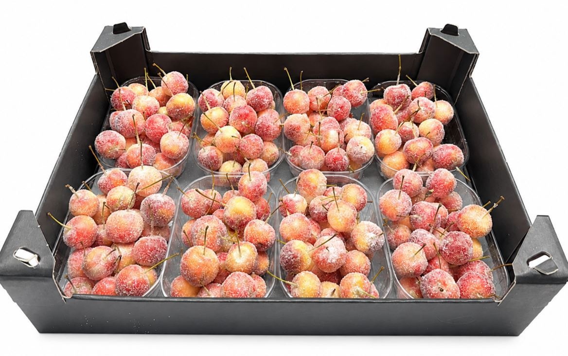 Gewaxde Appel