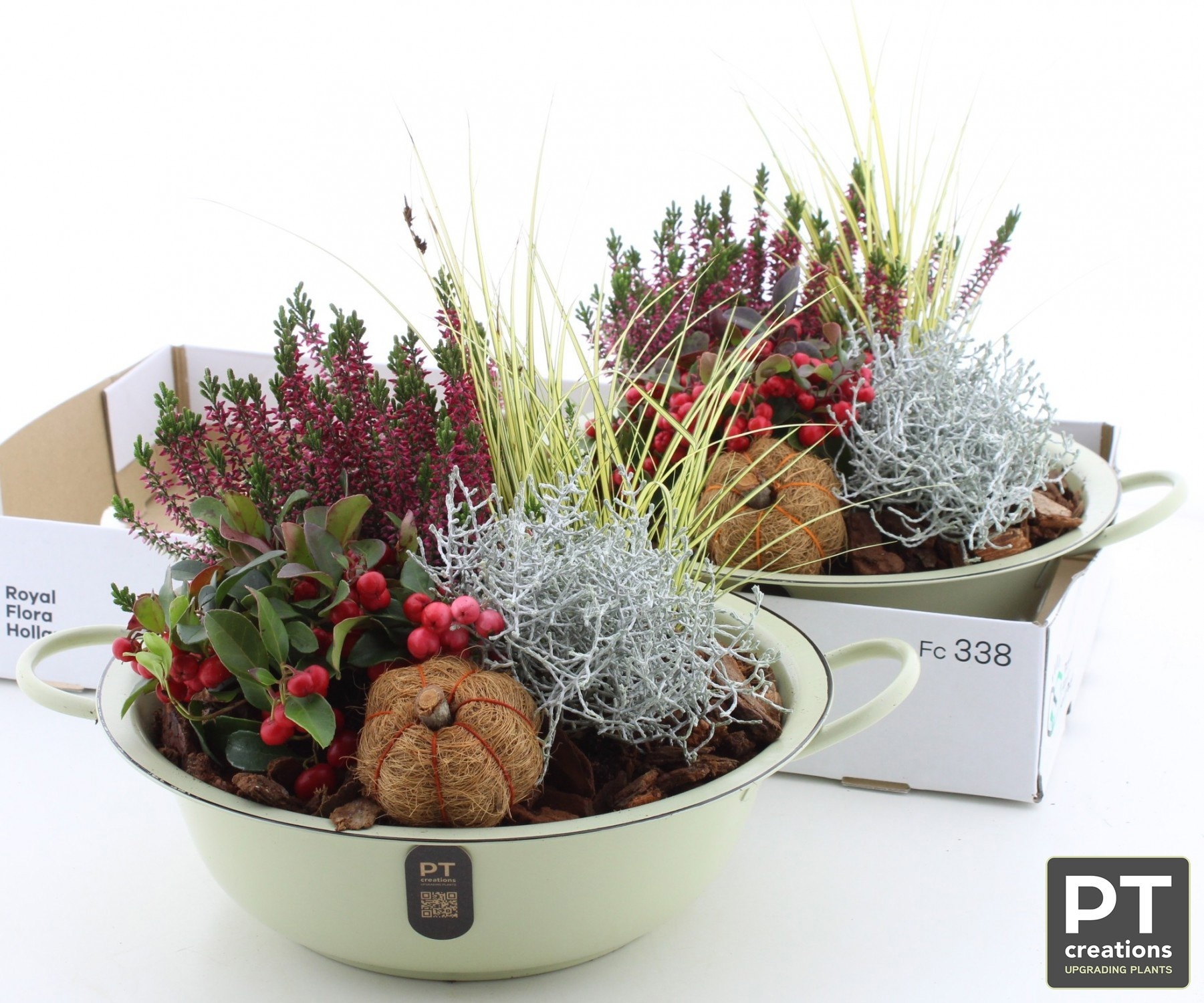 Arrangement Garden Plants 35Ø 28cm