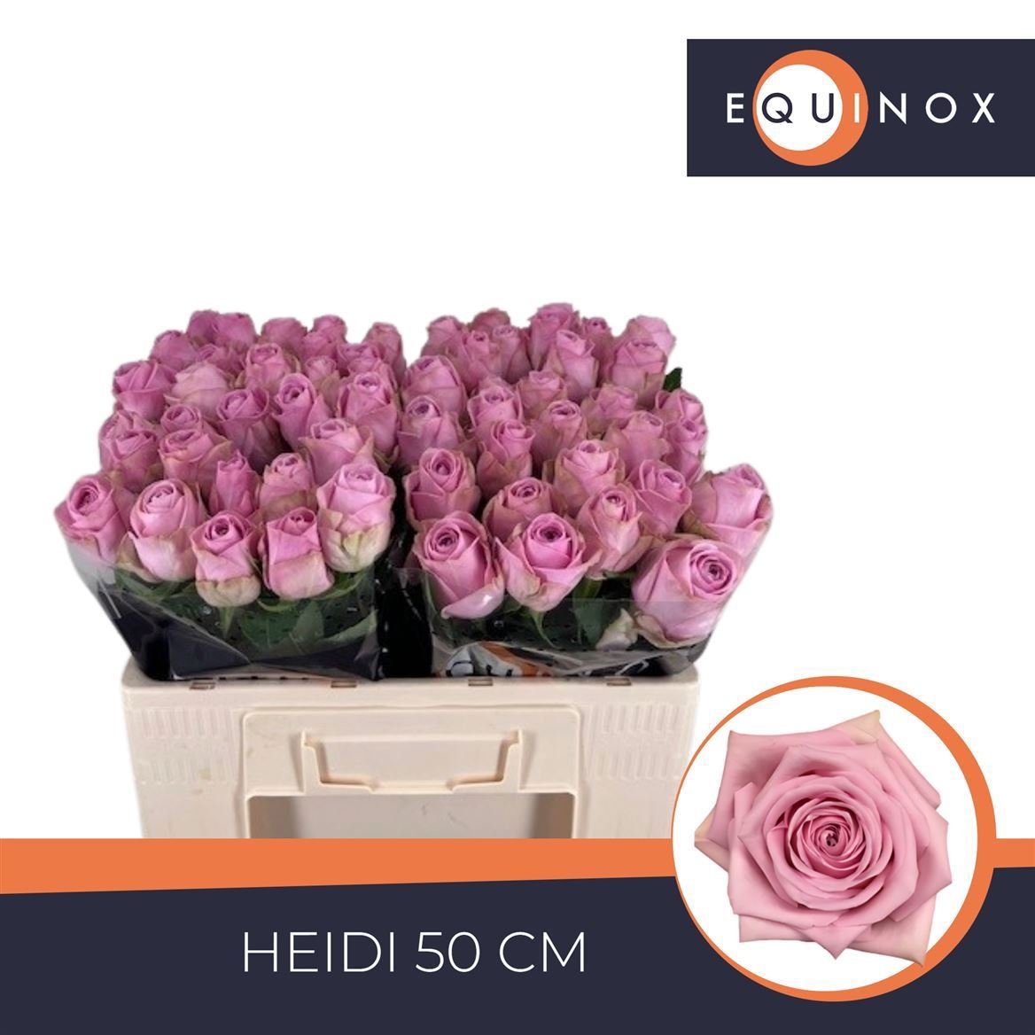 R Gr Heidi!