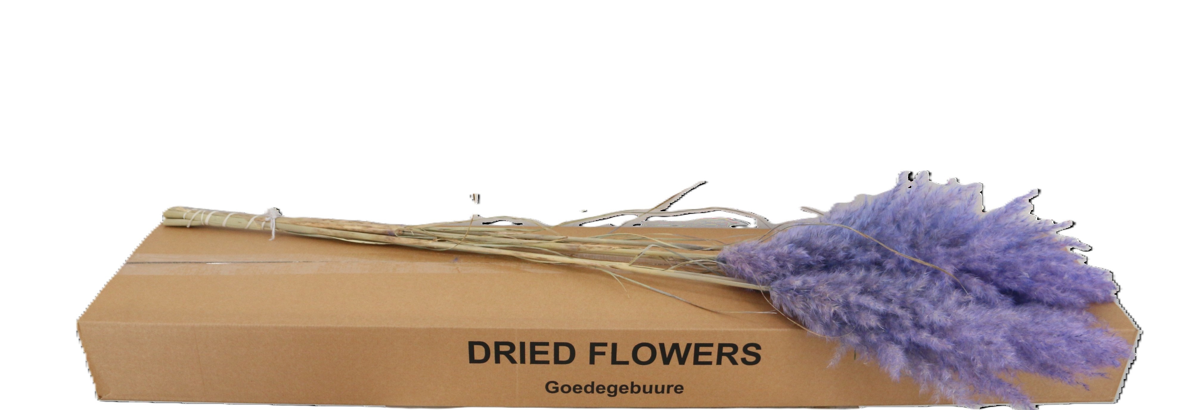 Droogbl Bewerkt H%