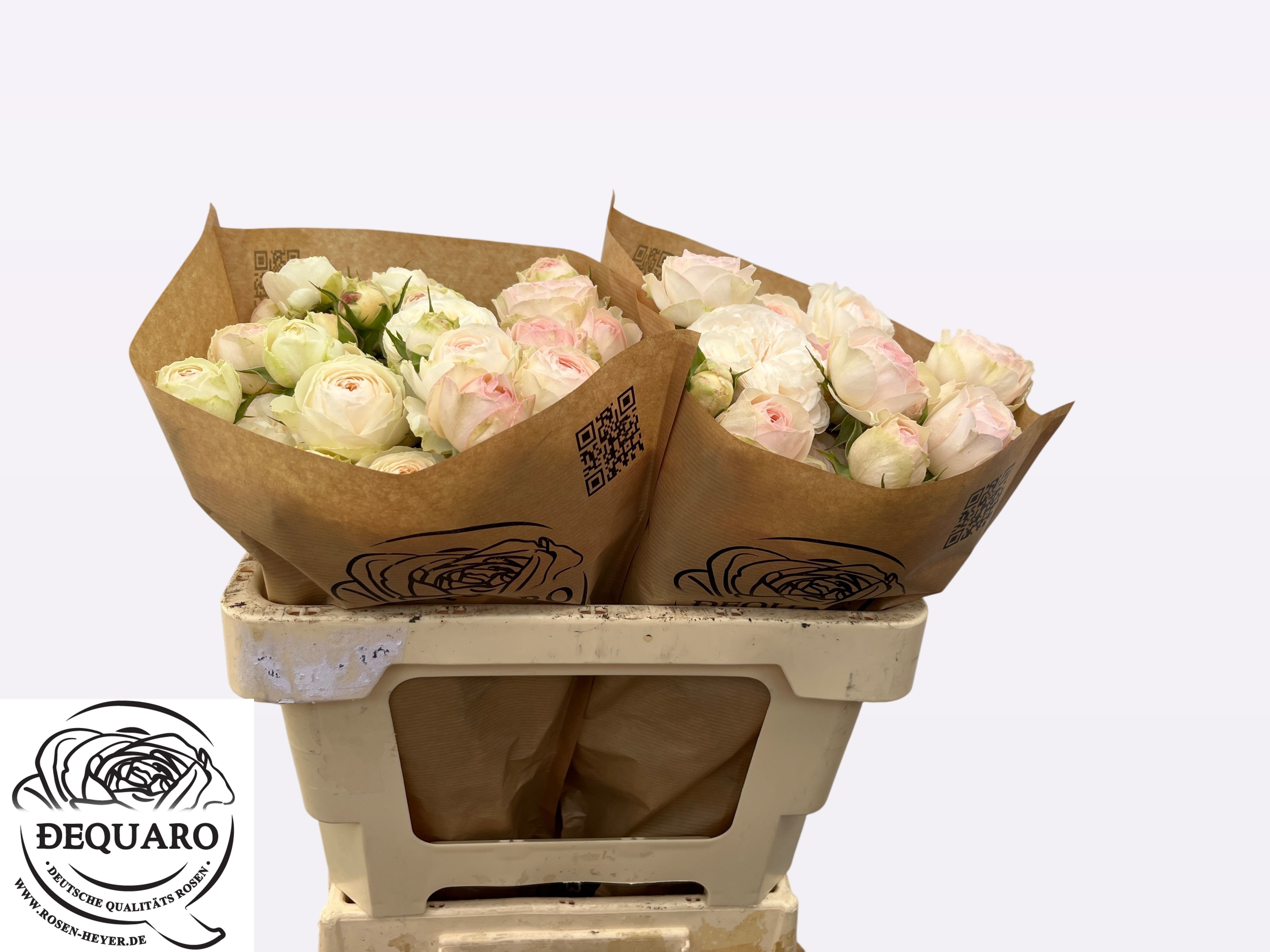 Rosa Spr Grandma's Finest Romy 50cm