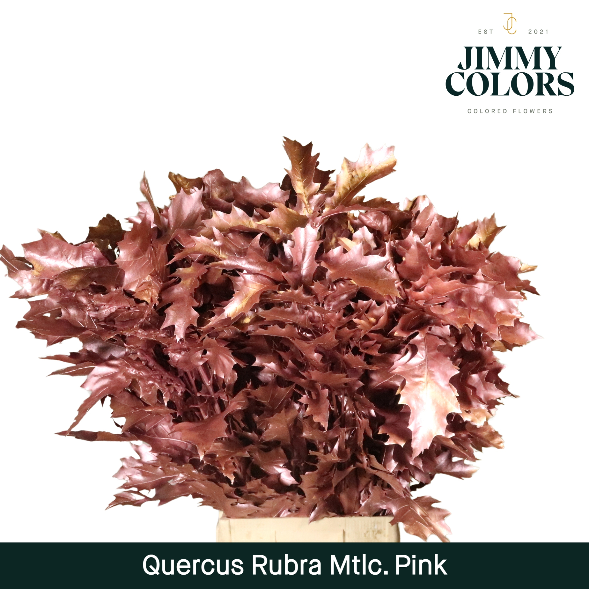 Quercus Rubra L80 Metallic Pink