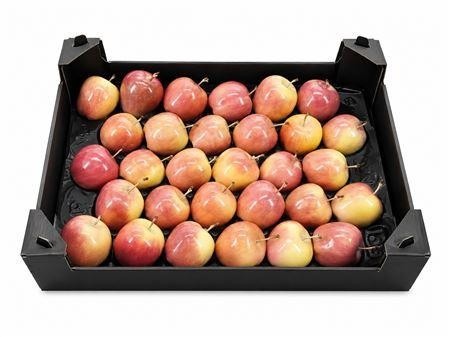 Gewaxde Appel