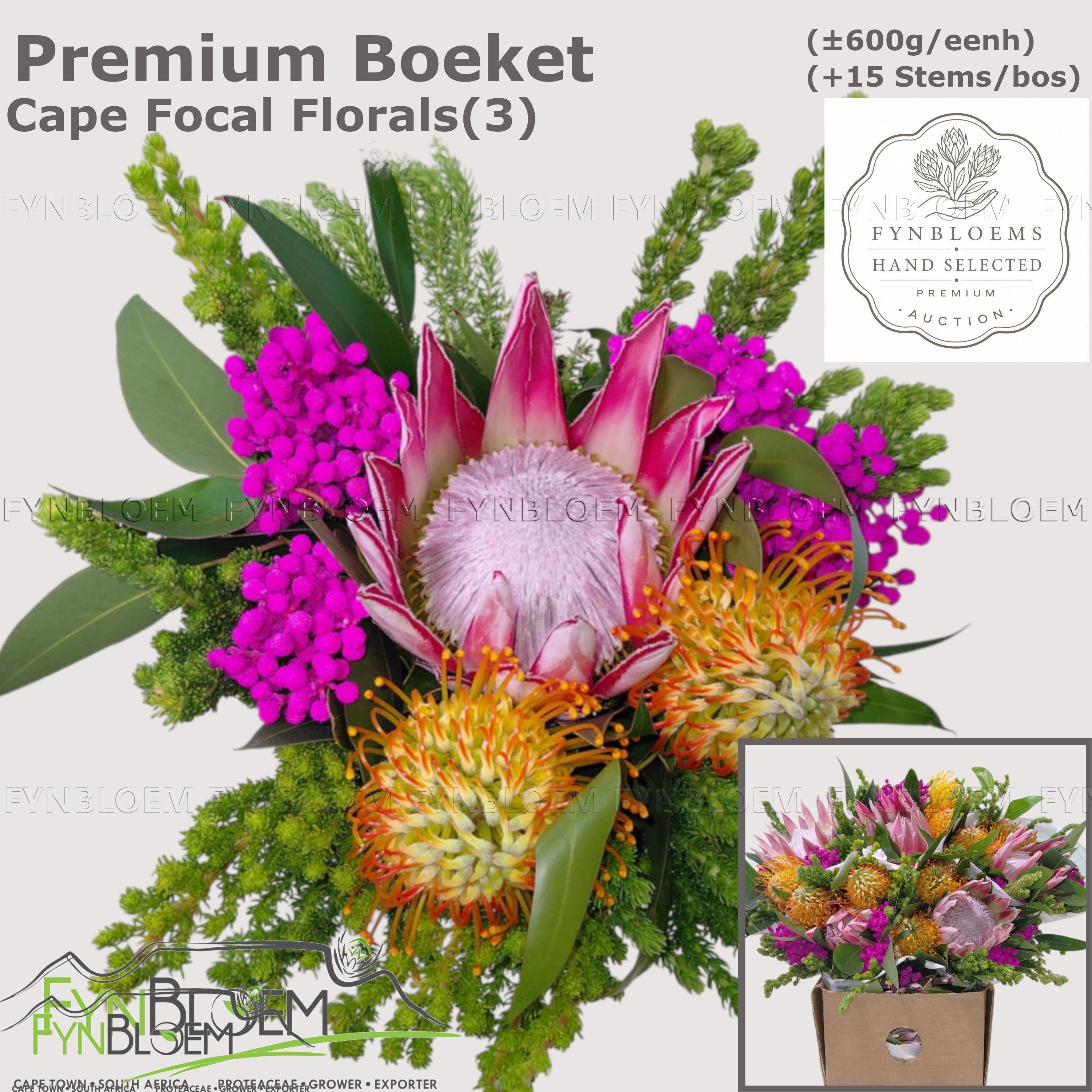 Protea Bouquet Per Bunch 40cm
