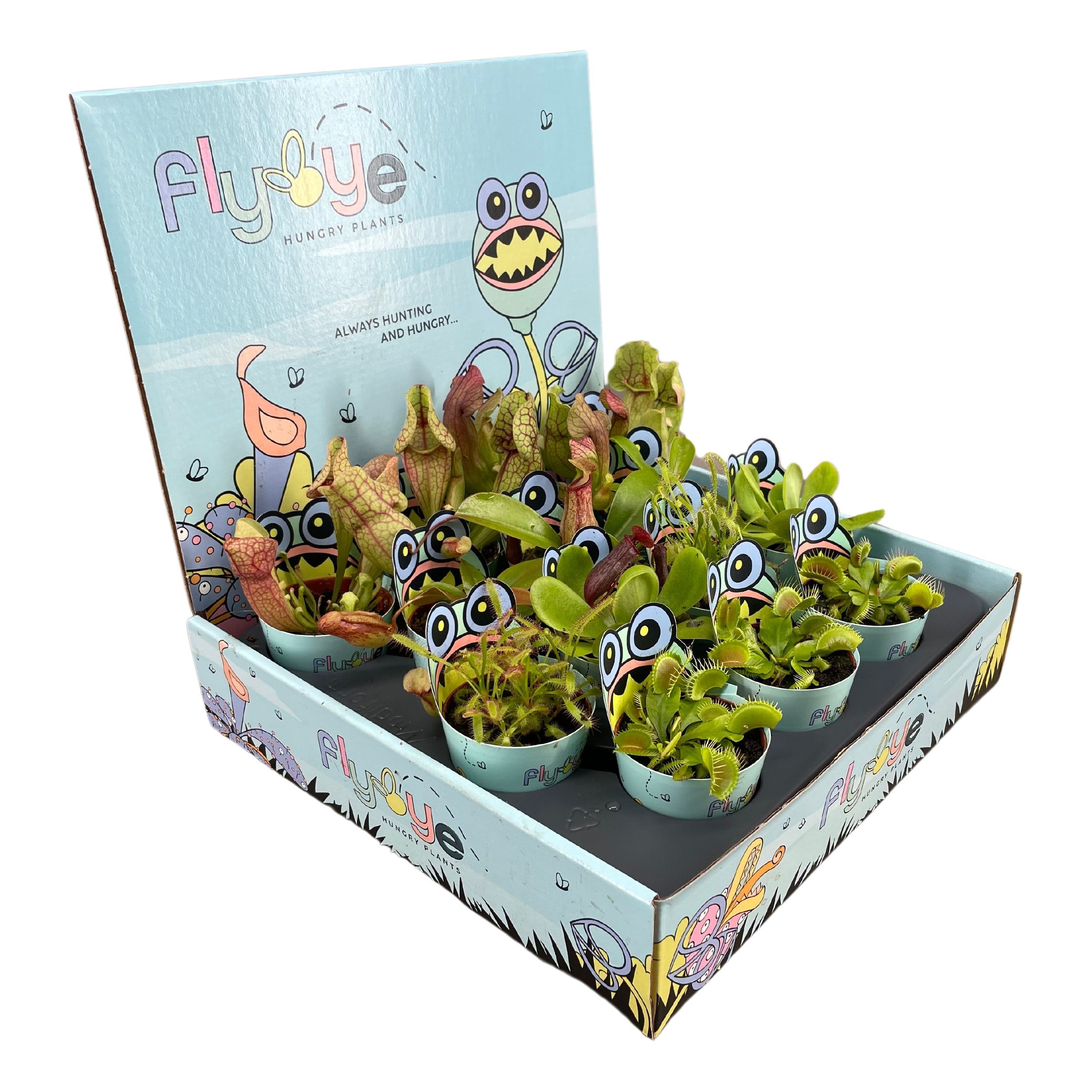 Vleesetende Planten 505P 15H