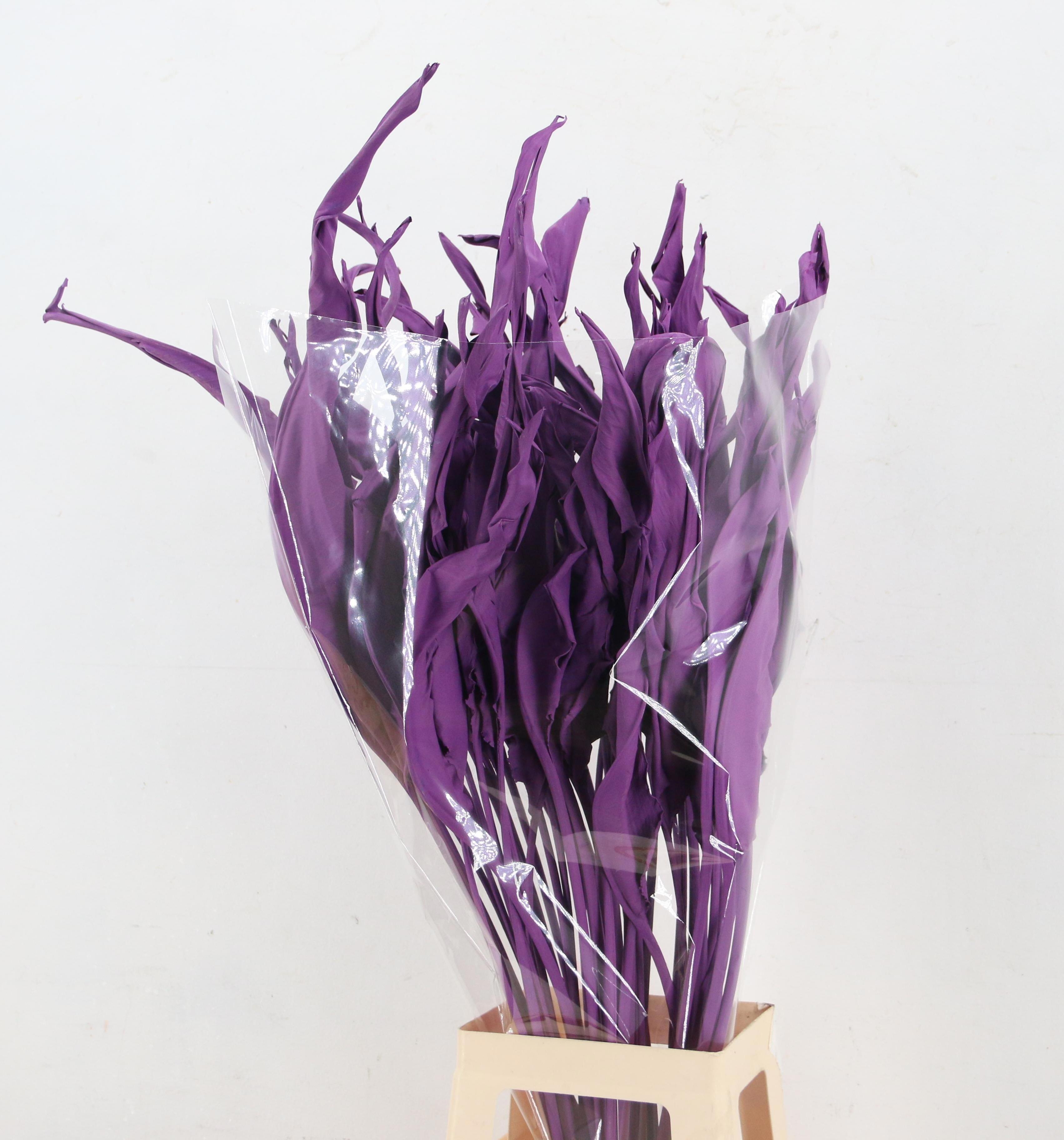 Droogbl Bewerkt H%