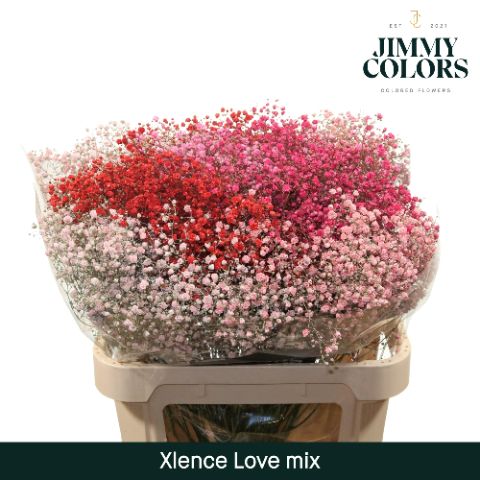 Gyps Xlence L80 Love Mix