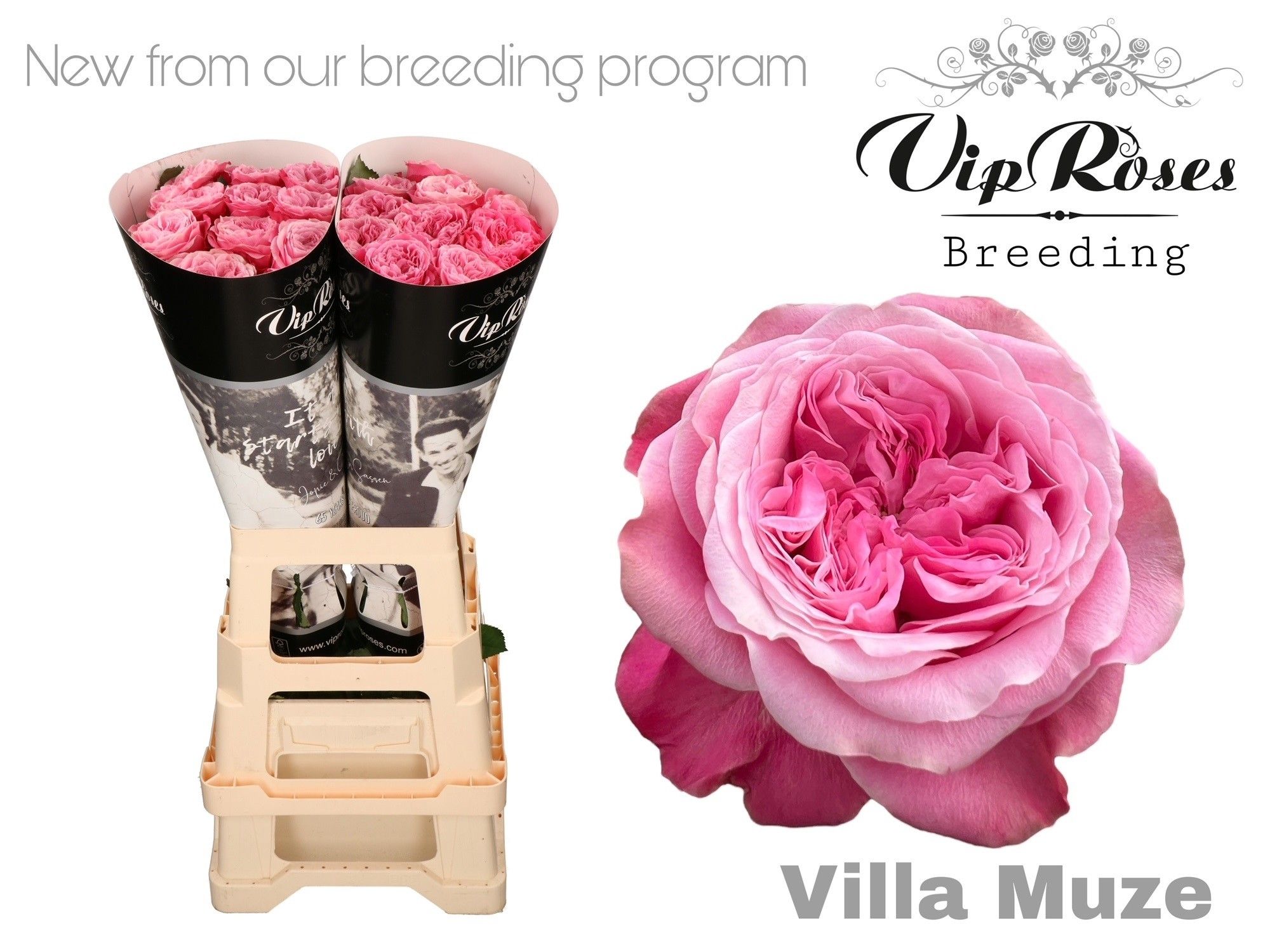 R Gr Villa Muze