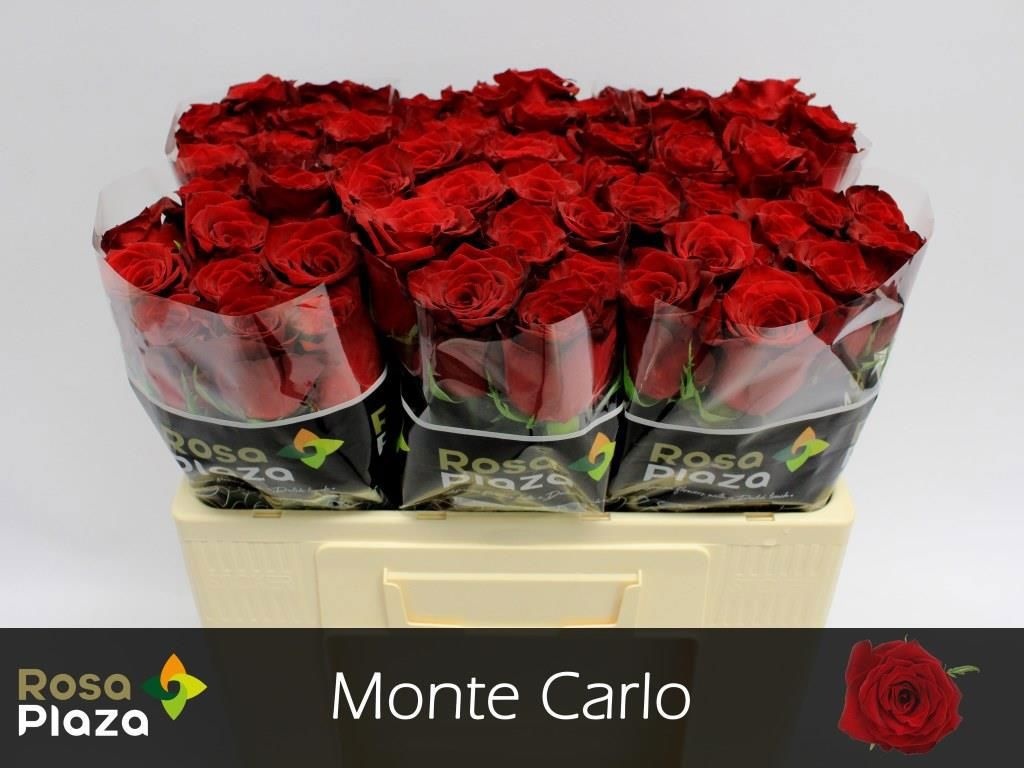 R Gr Monte Carlo