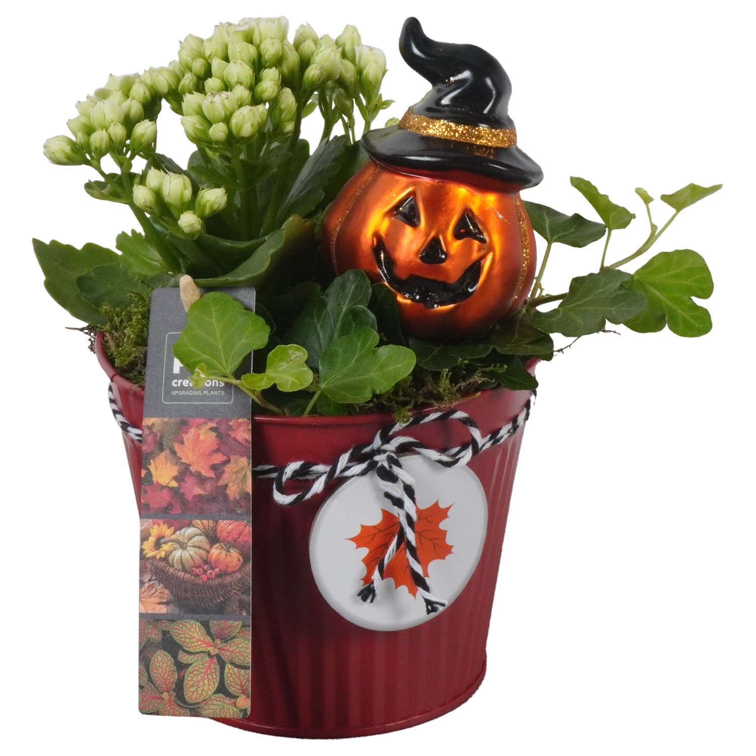 Picture of PTHL1923 Arrangement Halloween in zinc pot P12 21CM