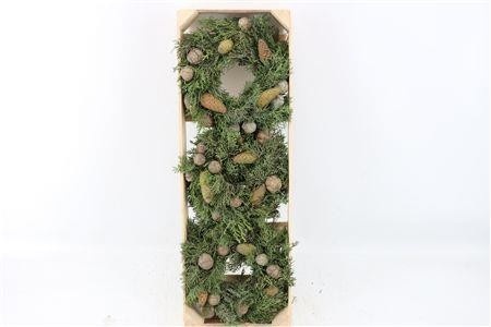Fruits Malus Per Piece