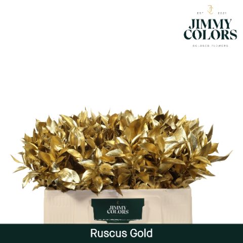 Ruscus L50 Mtlc. Gold