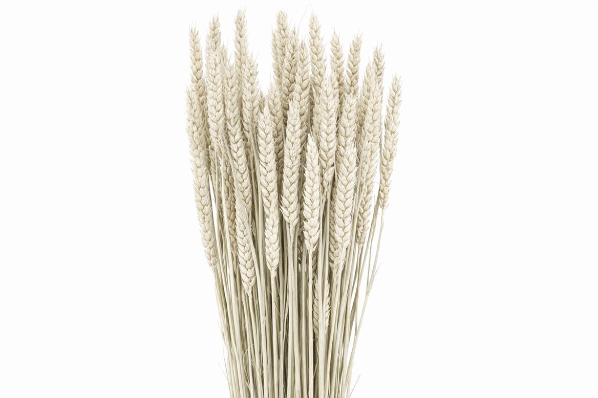 Dried/preserved Flowers Misc 60cm 200gram