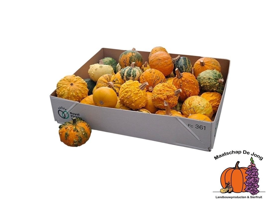 Cucurbita Warts Mix