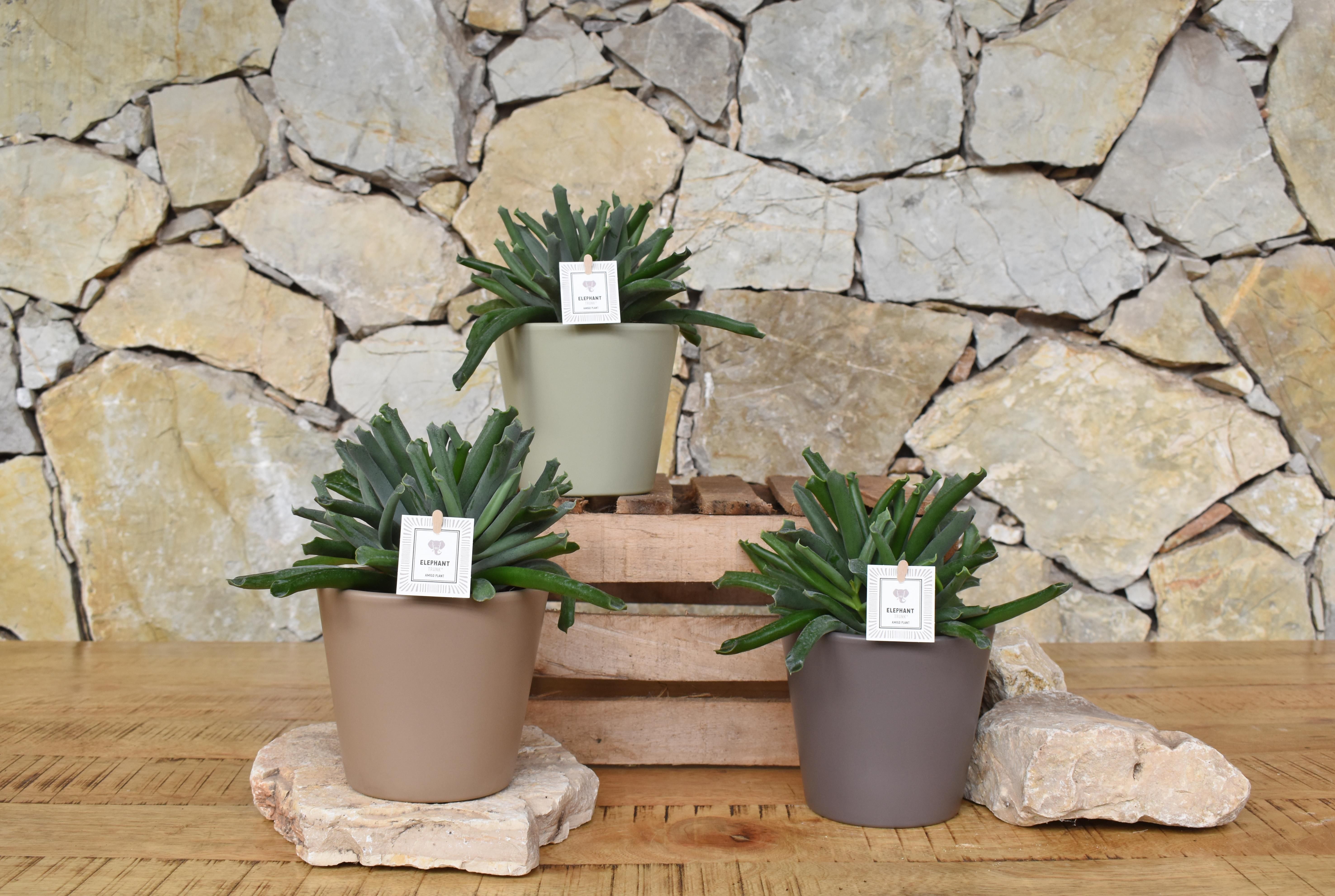 hanging planter outdoors Hanging Planter for Plants With Attached Drip Tray, Indoor Outdoor Pot Unique Gift, Patio Decor, Cottagecore Decor, Entryway, Ribbed Bubble Rainbow / main image 0