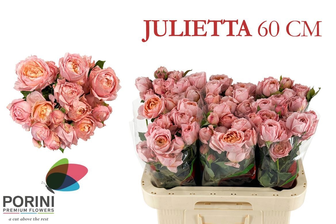 R Tr Julietta