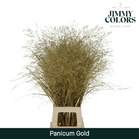 Panicum L90 Mtlc. Goud