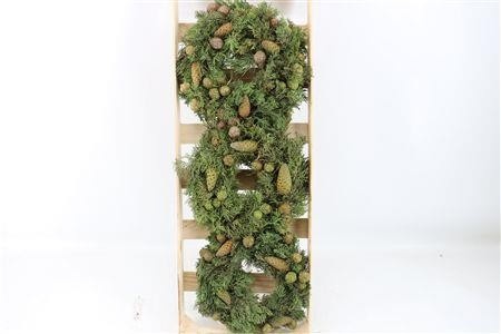 Fruits Malus Per Piece