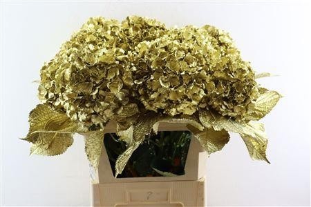 Hydrangea Painted 80cm 22Ø