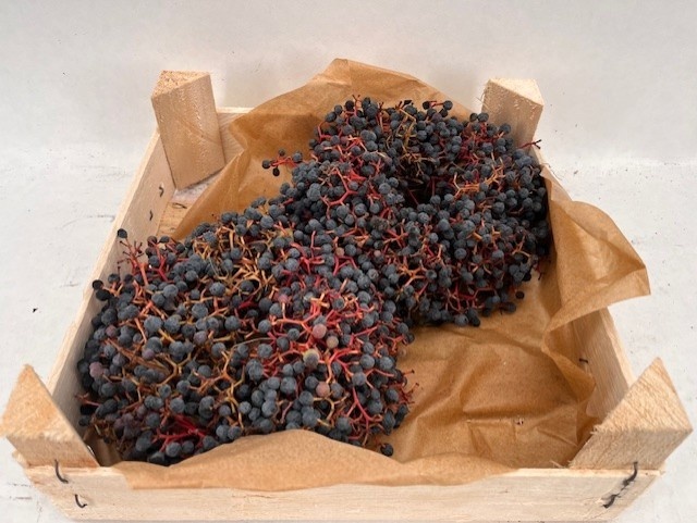 Fruits Malus Per Piece