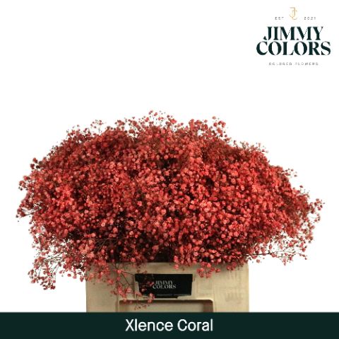 Gyps Xlence L60 Coral