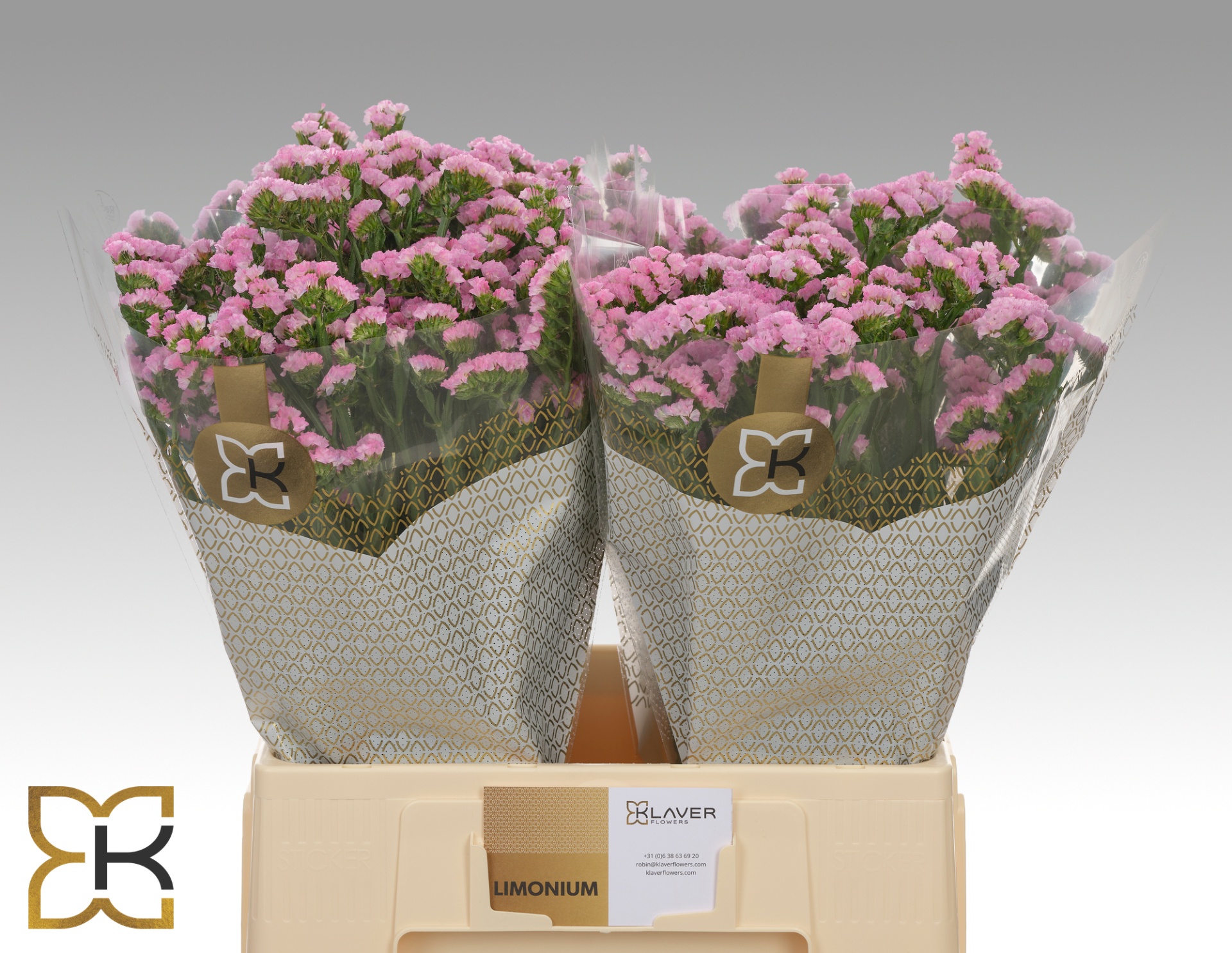 Limonium Si Pretty Wing 60cm 20gram