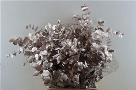 Euc Cin Klb P Bos H% 70L.cm 200gram