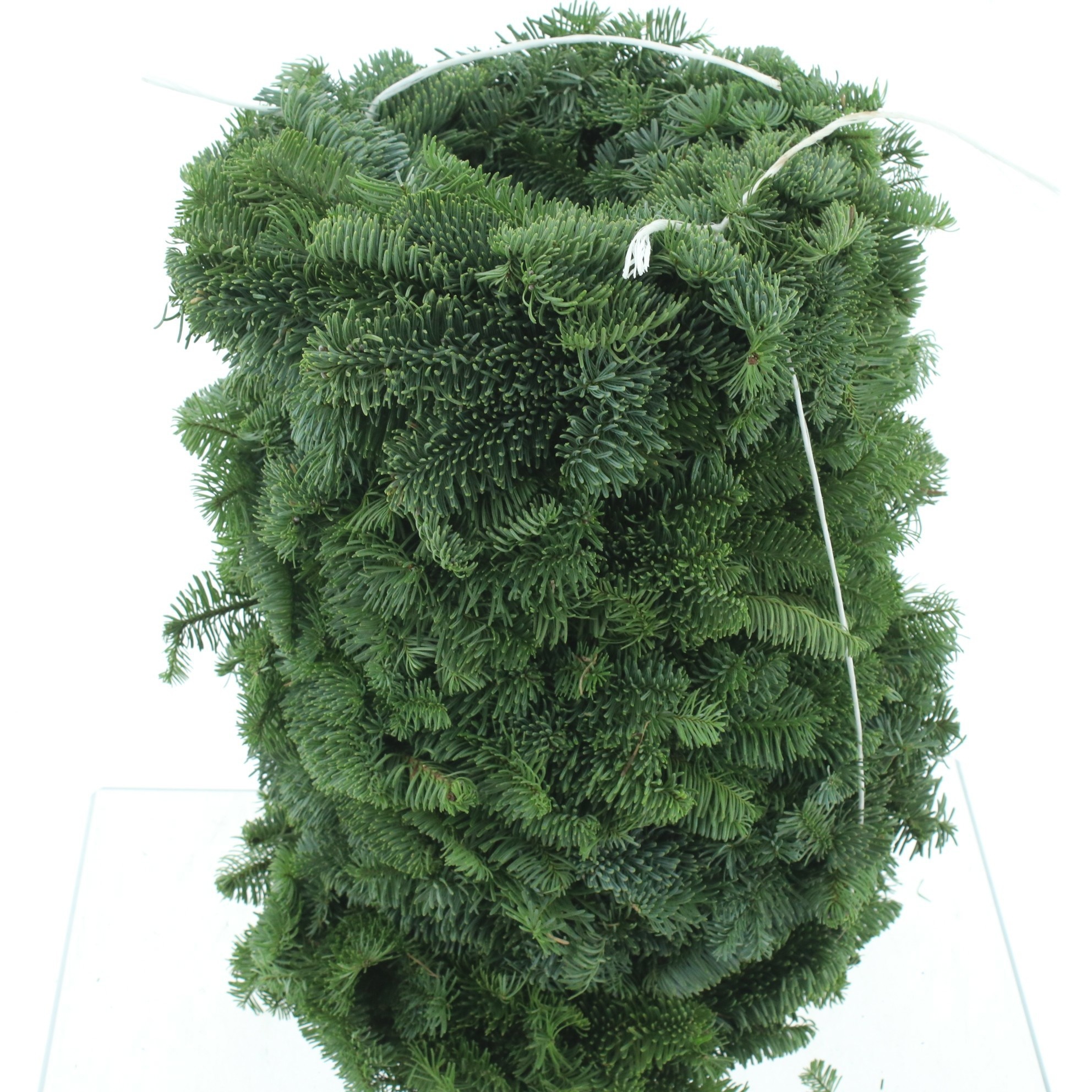 Nobilis Wreath