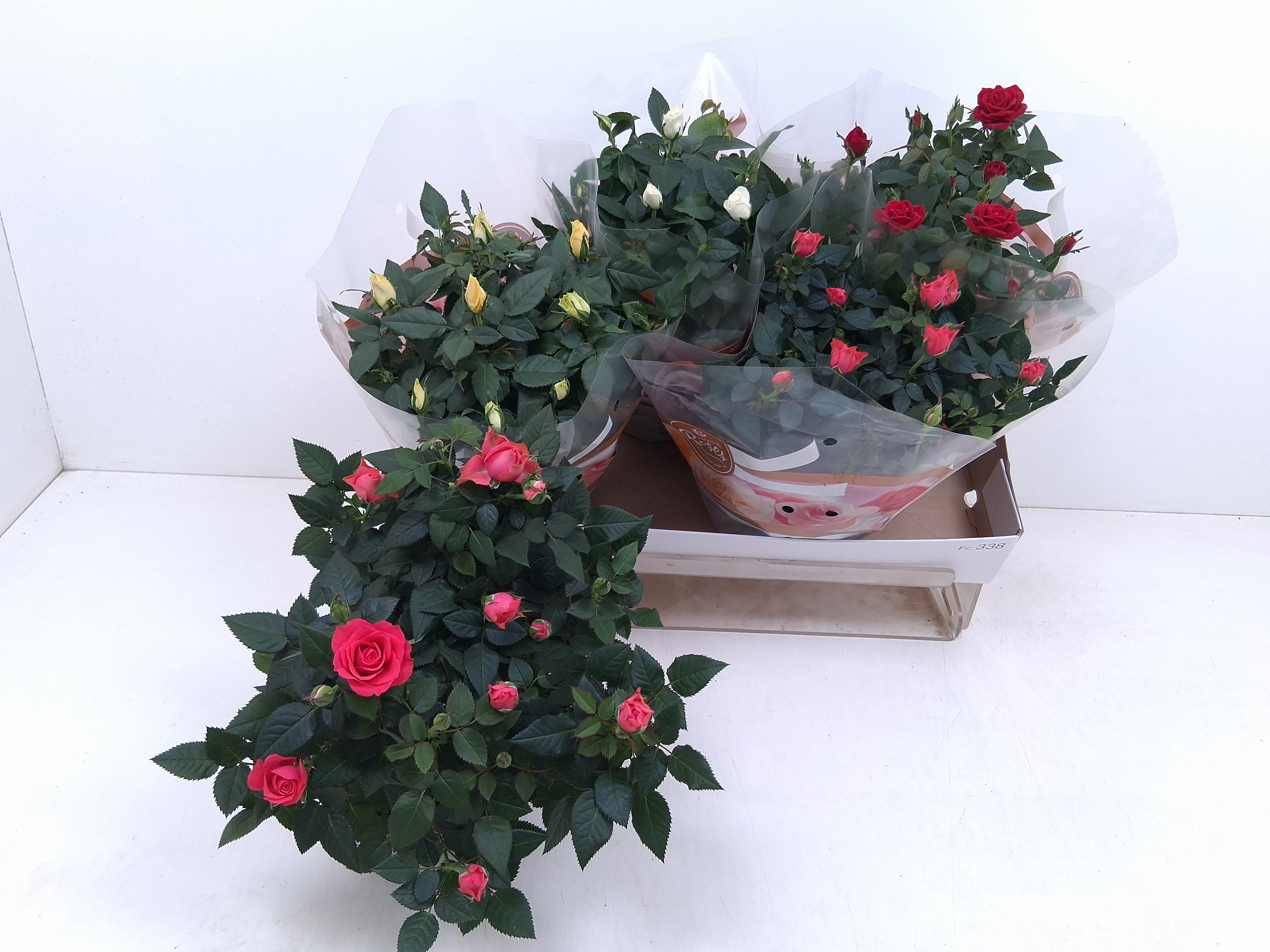Ro Fav Ro Gem 4 Srt 20Ø 30cm