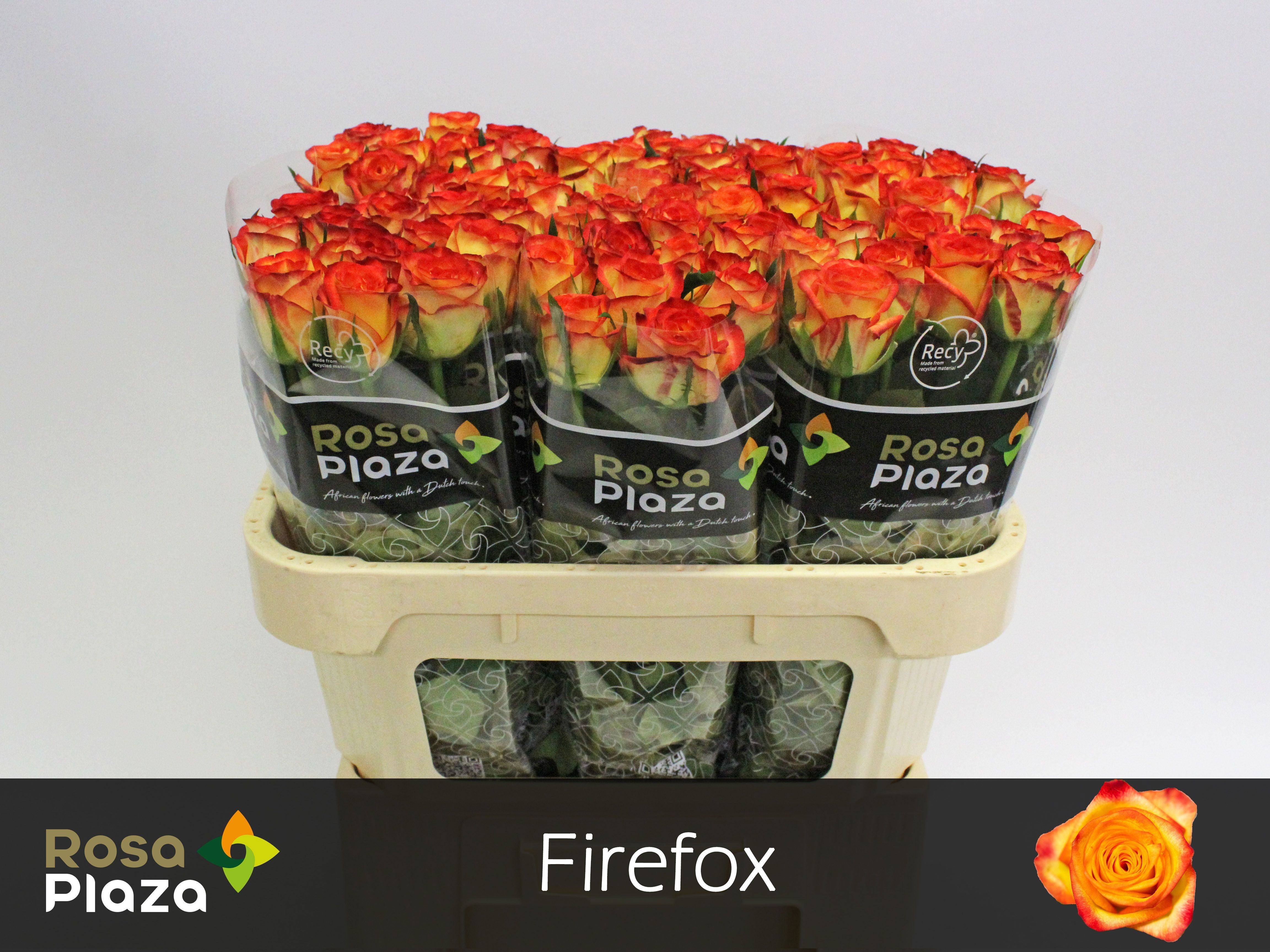 R Gr Firefox