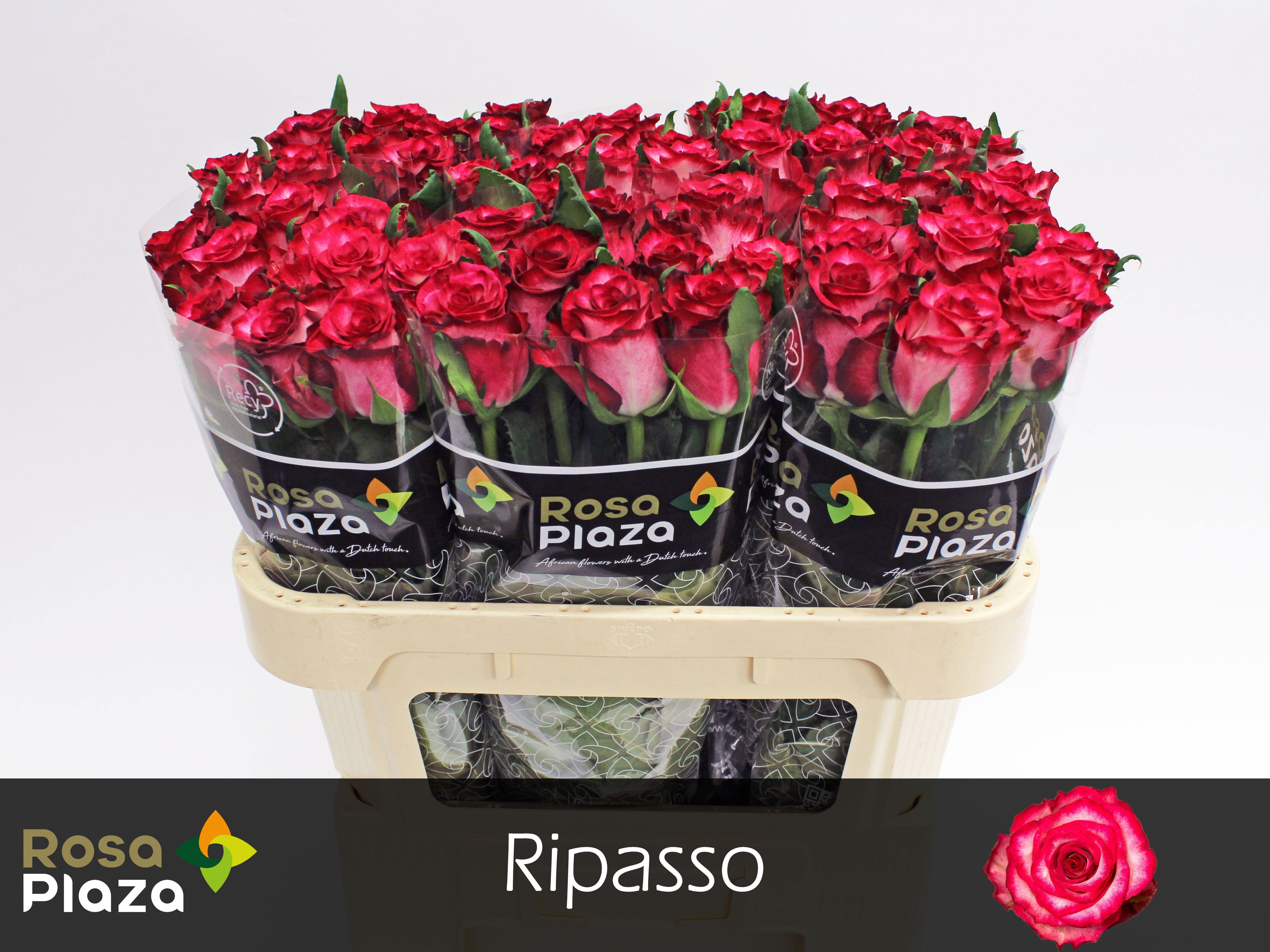 R Gr Ripasso