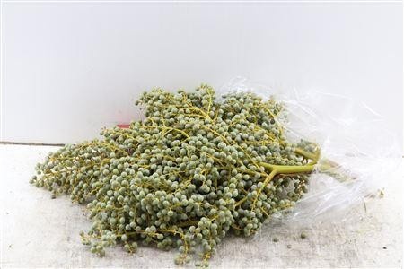 Dates Per Kilo