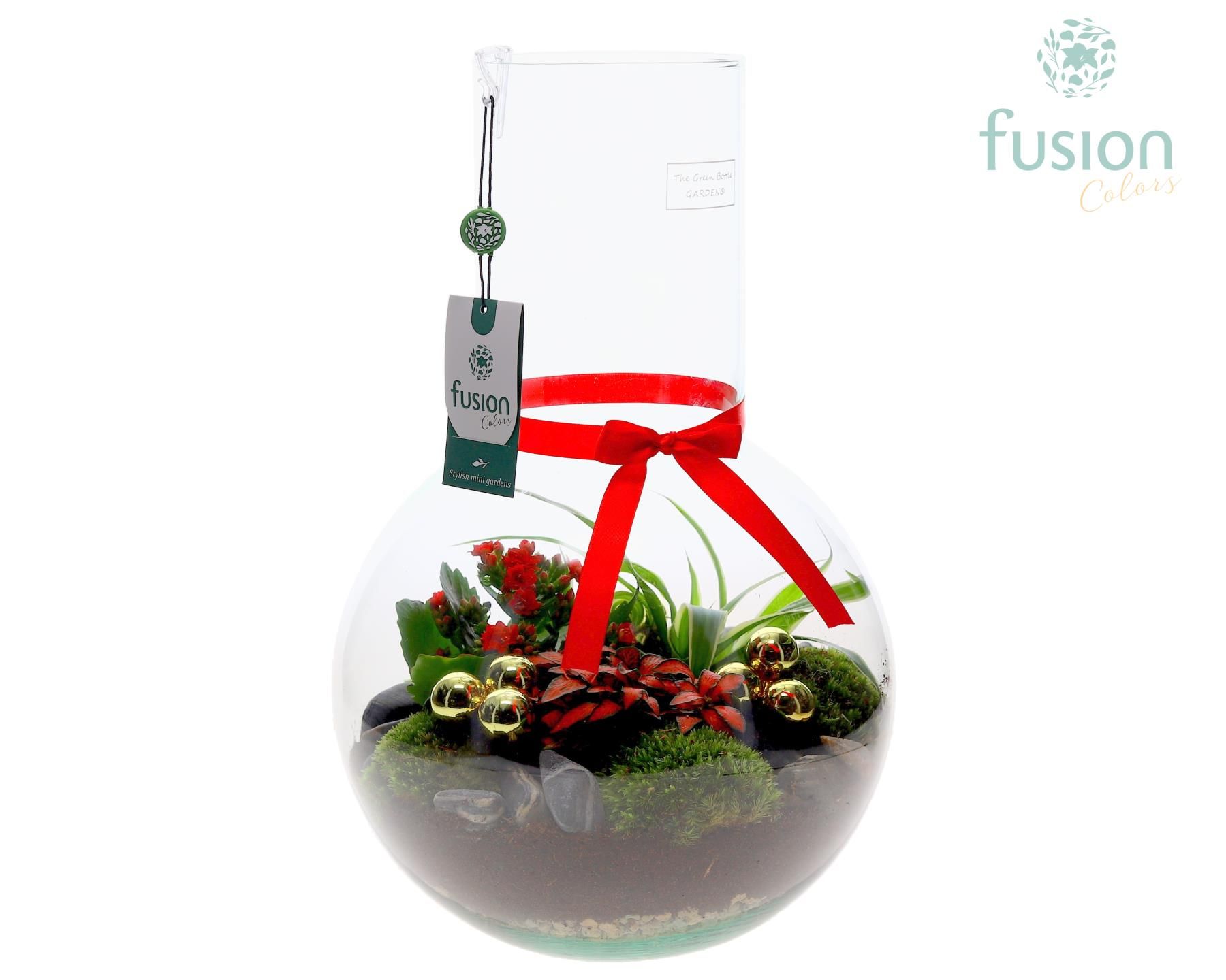 Picture of X-Mas arrangement Green Bottle Suzanne Large FC-24.0938FDH P26 43CM
