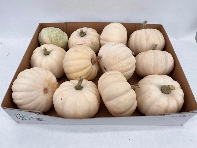 Ornamental Fruits Per Piece