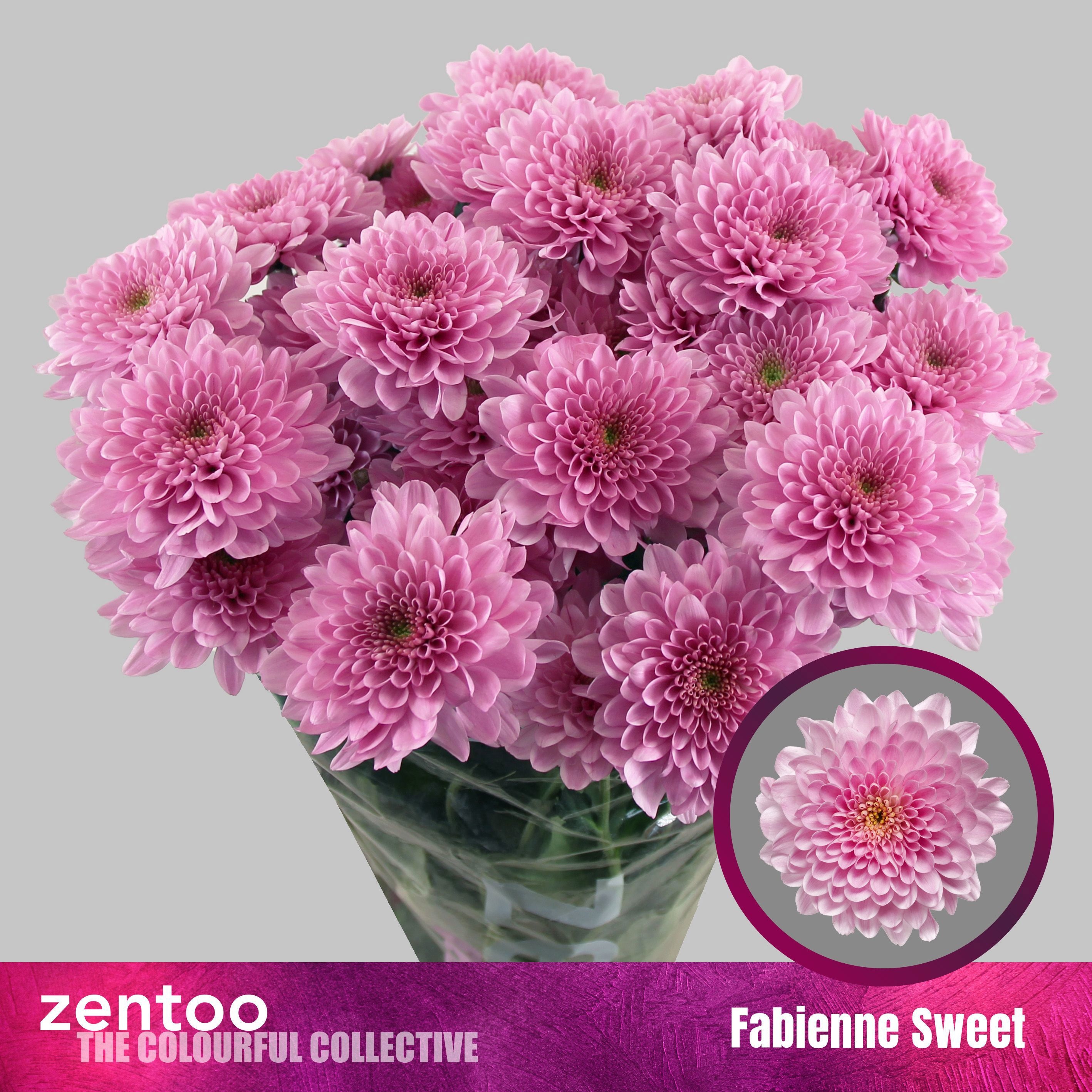 Chrys Spray Fabienne Sweet 90gram