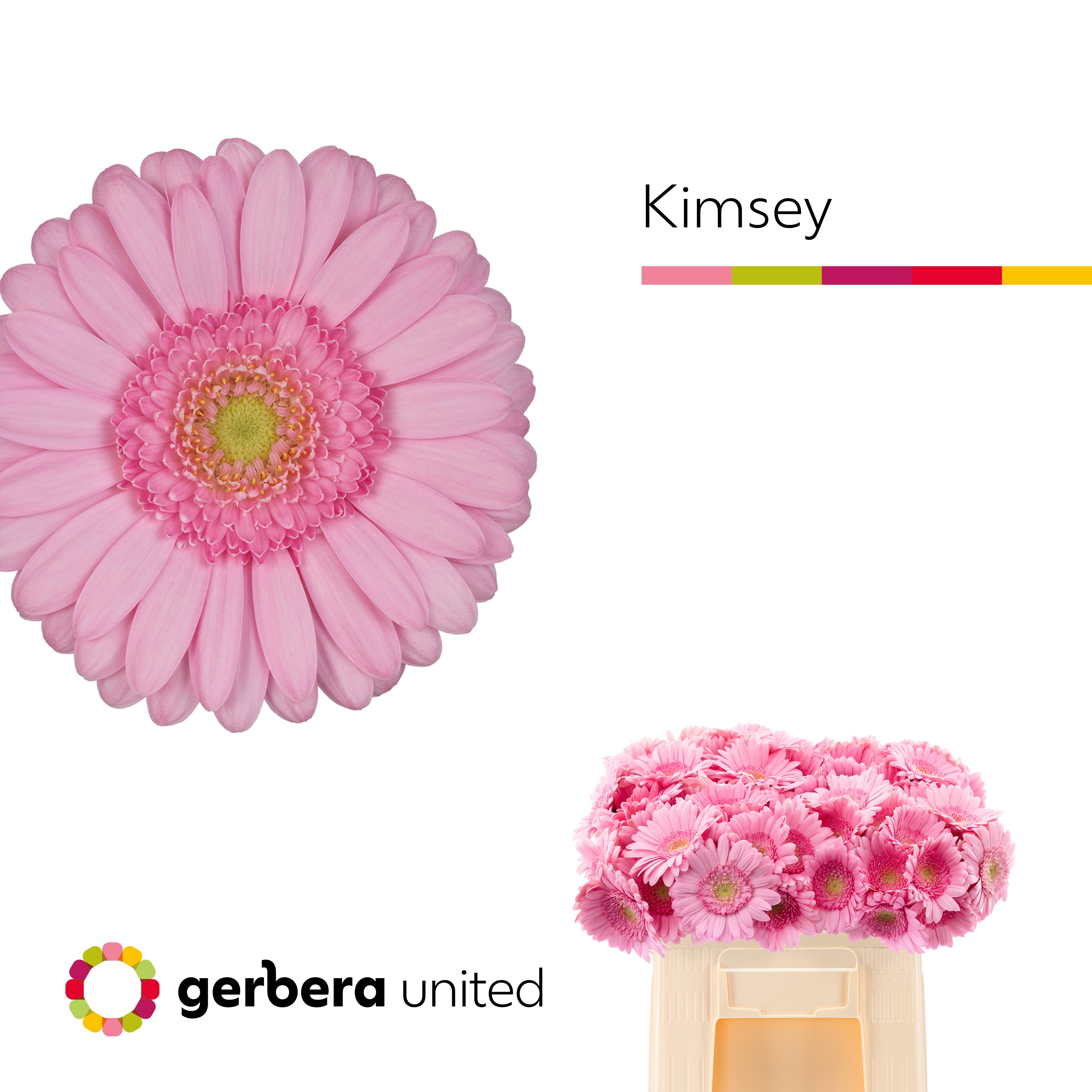 Ge Mi Kimsey
