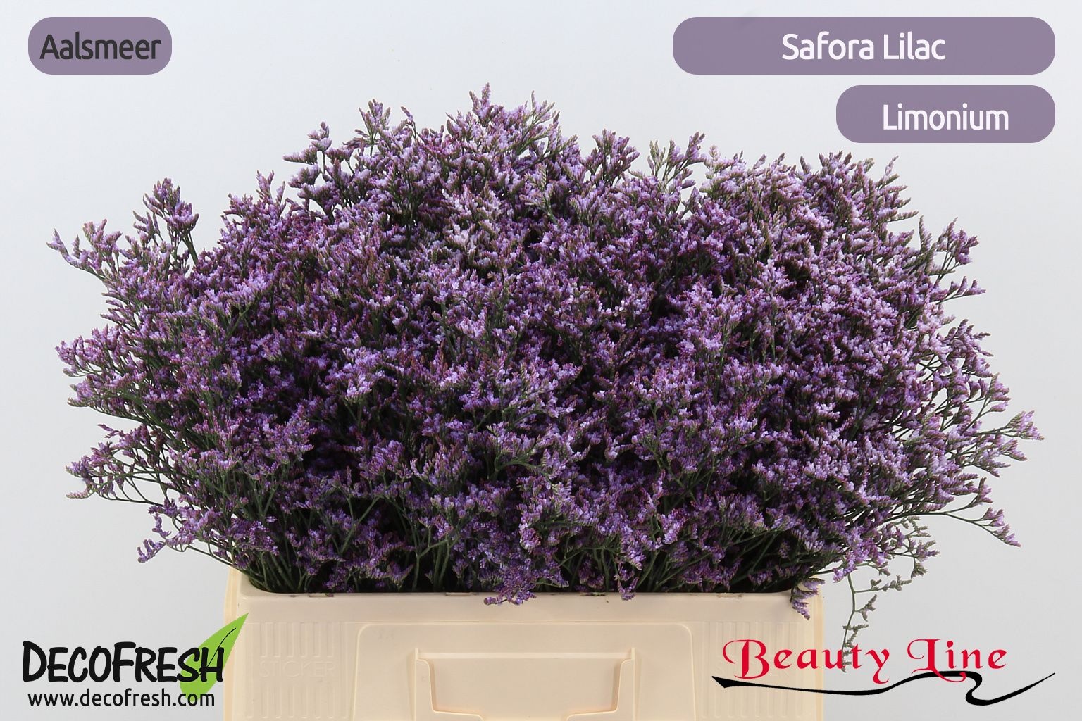 Lim Saf Lilac 60L.cm 25gram 13bloei