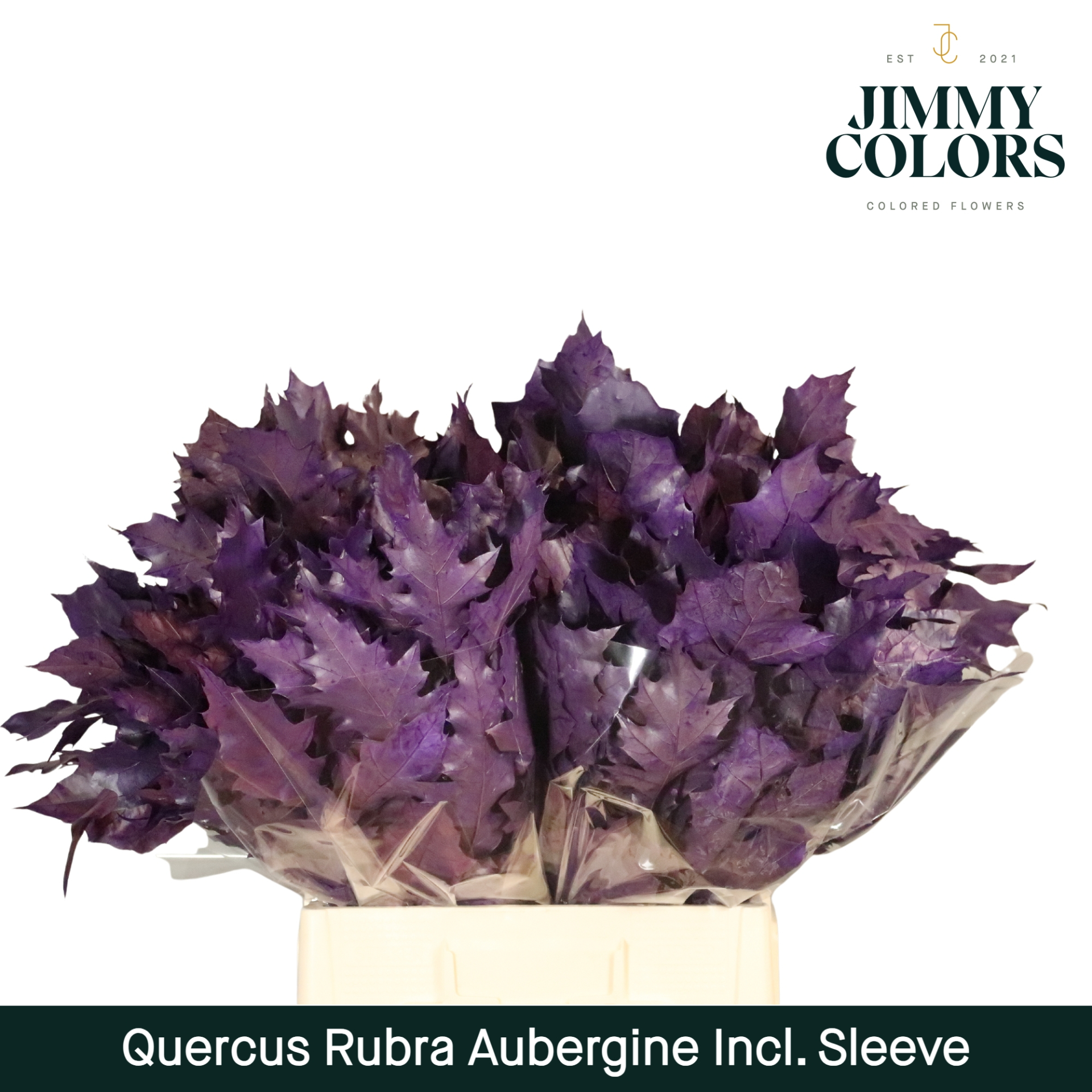 Quercus Rubra Sleeve L60 Aubergine