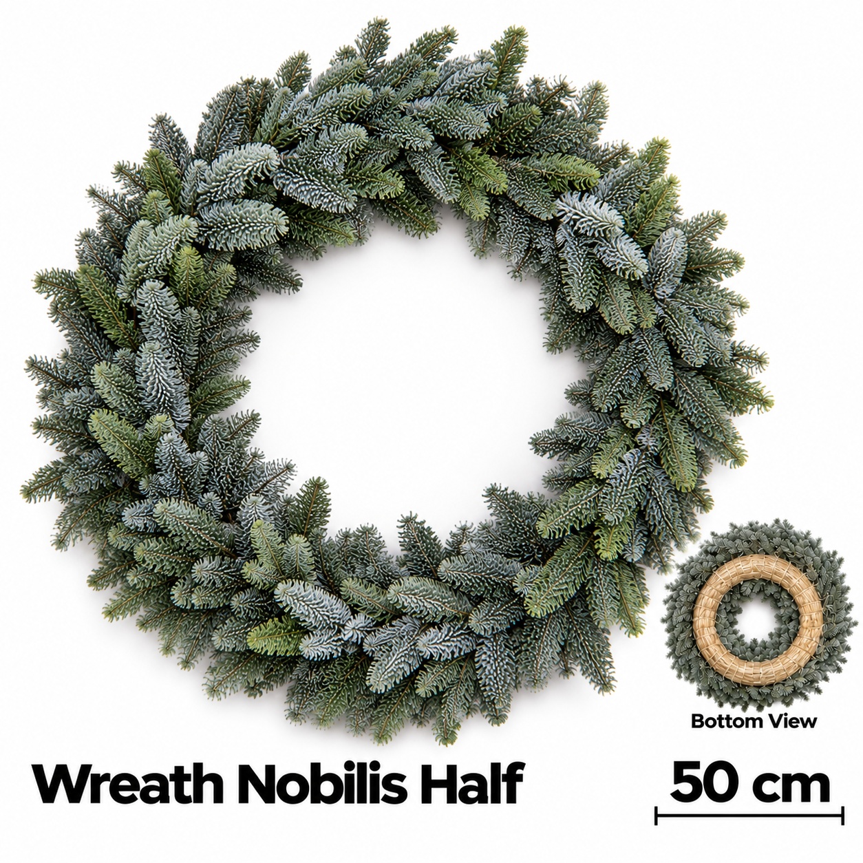 Abies Nobilis Blauw 50L.cm