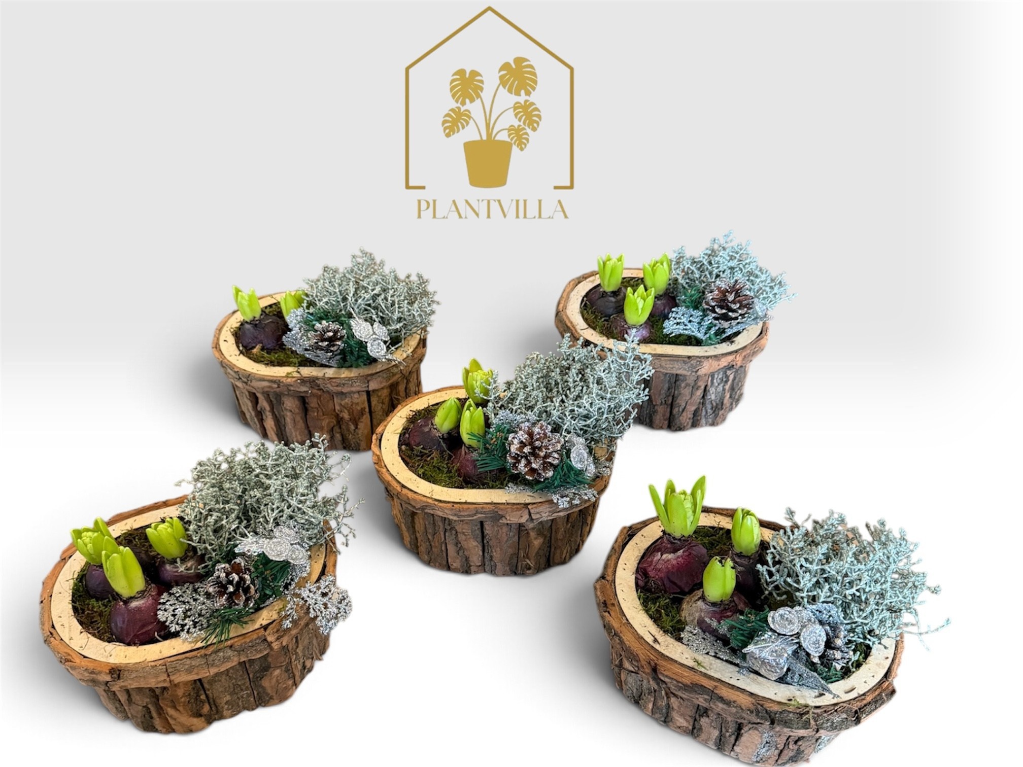 Arrangement Garden Plants 22Ø